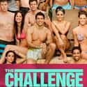 The Challenge on Random Best Current MTV Shows