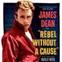 Rebel Without a Cause on Random Great Movies About Juvenile Delinquents