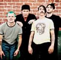 Red Hot Chili Peppers on Random Best Bands with Colors in Their Names