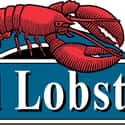 Red Lobster on Random Top Seafood Restaurant Chains