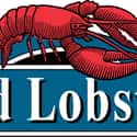 Red Lobster on Random Best Family Restaurant Chains in America