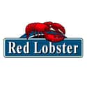 Red Lobster on Random Best Restaurant Chains for Lunch