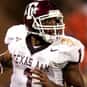 Reggie McNeal is listed (or ranked) 8 on the list The Best Texas A&M Aggies Quarterbacks of All Time
