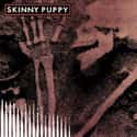 Remission on Random Best Skinny Puppy Albums