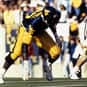 Renaldo Turnbull is listed (or ranked) 22 on the list The Best West Virginia Football Players of All Time