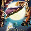 Frank Welker, Dan Castellaneta, Jim Cummings   Return to Never Land is a 2002 American animated fantasy comedy-drama film produced by DisneyToon Studios in Sydney, Australia and released by Walt Disney Pictures.