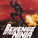 Revenge of the Ninja on Random Best Kung Fu Movies of 1980s