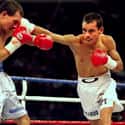 Minimumweight, Light flyweight   Ricardo “El Finito” López Nava is a retired Mexican professional boxer. As a professional, he defended the WBC Strawweight Championship a record 21 times.