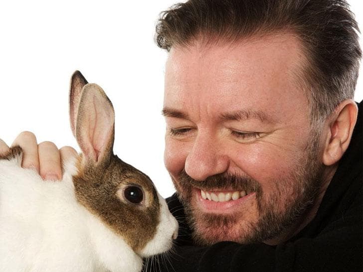 Celebrities Who Fight for Animal Rights | List of Famous People Who ...