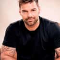 Ricky Martin on Random Greatest Gay Icons In Music