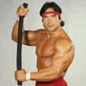 Ricky Steamboat on Random Ranking Greatest WWE Hall of Fame Inductees
