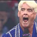 Ric Flair on Random Best WCW Wrestlers