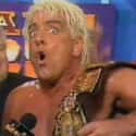 Ric Flair on Random Best WWE Superstars of '90s