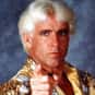 age 70   Show the world that Nature Boy is your favorite wrestler with some neat swag.