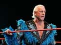Ric Flair on Random Best Pro Wrestling Champions