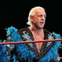 Ric Flair on Random Best WWE Superstars of '80s