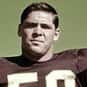 Rip Hawkins is listed (or ranked) 25 on the list The Best Minnesota Vikings Linebackers of All Time
