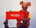 Rizzo the Rat on Random Most Interesting Muppet Show Characters