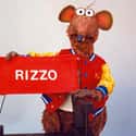 Rizzo the Rat on Random Most Interesting Muppet Show Characters