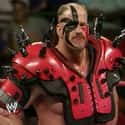 Road Warrior Hawk on Random Professional Wrestlers Who Died Young