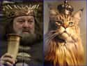Robert Baratheon on Random Cats Who Look Like GoT Characters