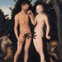 Adam And Eve on Random Best Bible Stories For Kids