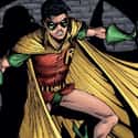 Robin on Random Superhero You Are, Based On Your Zodiac Sign
