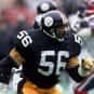 Robin Cole is listed (or ranked) 17 on the list The Best Pittsburgh Steelers Linebackers of All Time