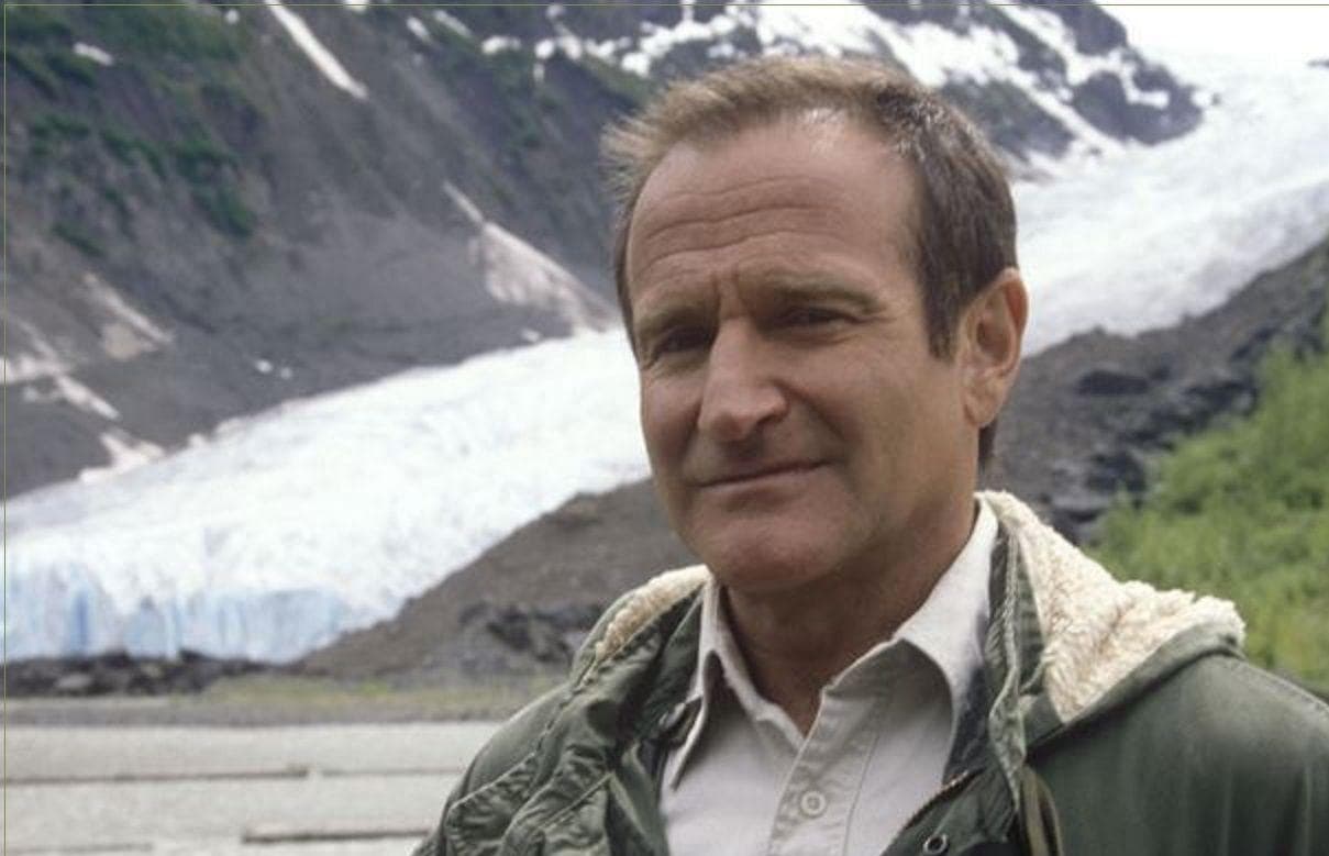 Robin Williams, 'Insomnia'