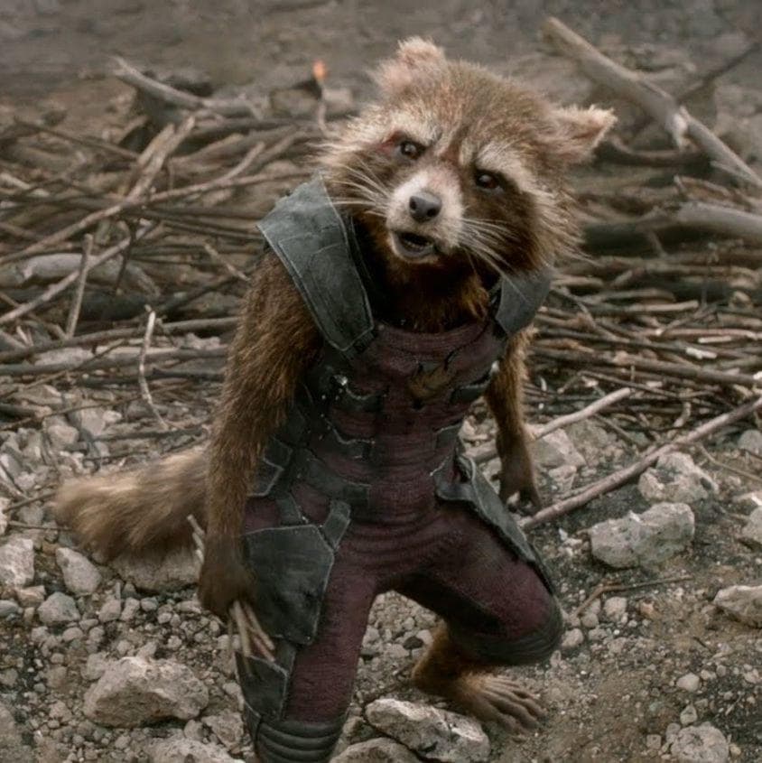 Rocket Raccoon