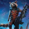 Rocket Raccoon on Random Best Characters In Marvel Cinematic Univers