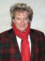 Rod Stewart on Random Ridiculous Jobs Celebrities Reportedly Employ People To Do