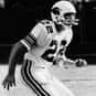 Roger Wehrli is listed (or ranked) 33 on the list The Best Cornerbacks in NFL History