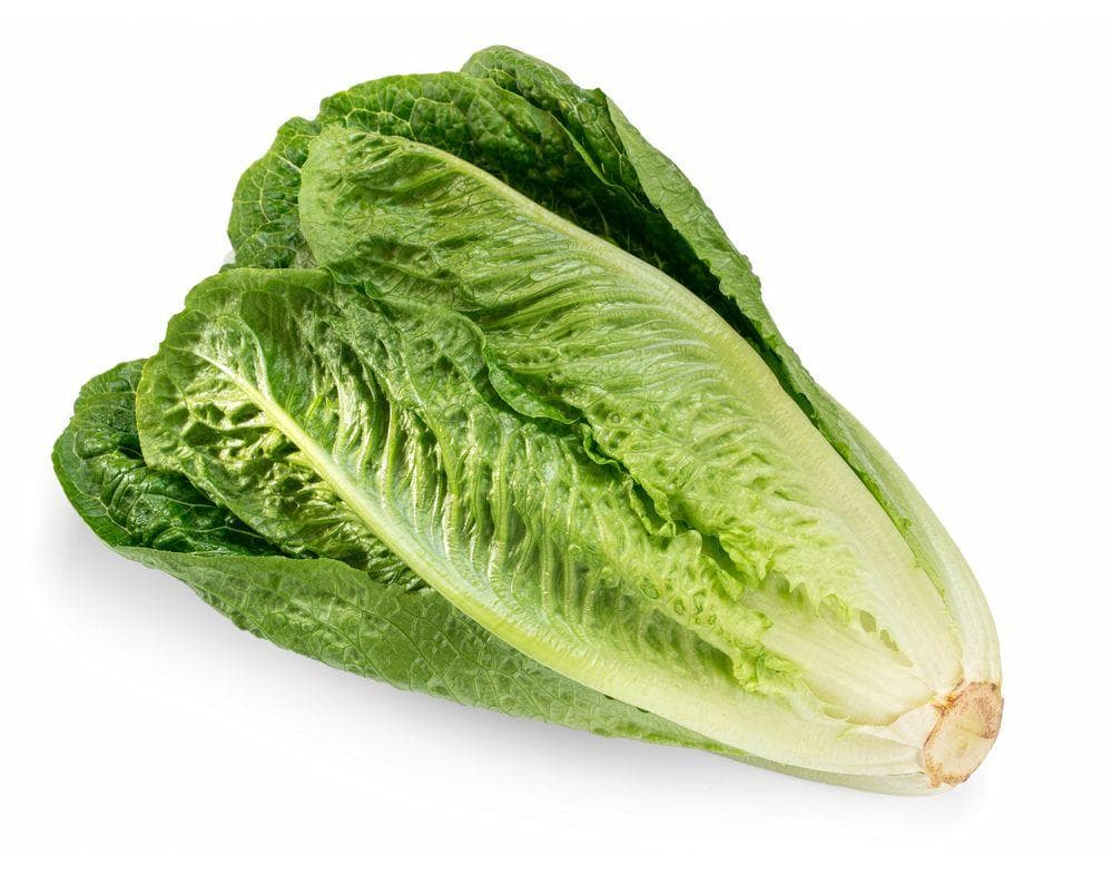 Romaine