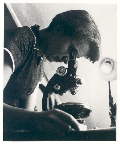Without Rosalind Franklin, Scientists Wouldn't Know The Structure Of DNA