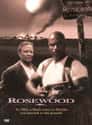 Rosewood on Random Best Drama Movies for Action Fans