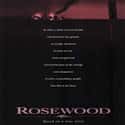 Rosewood on Random Well-Made Movies About Slavery