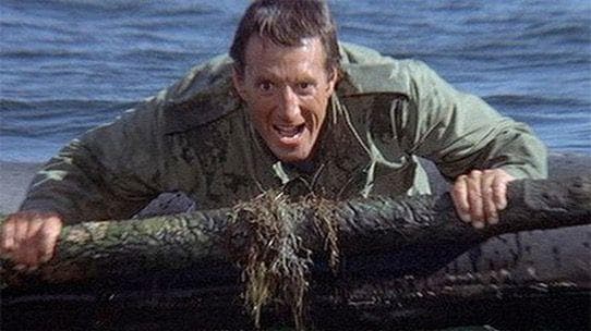 Roy Scheider - 'Jaws 2'