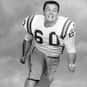 Roy Winston is listed (or ranked) 10 on the list The Best Minnesota Vikings Linebackers of All Time