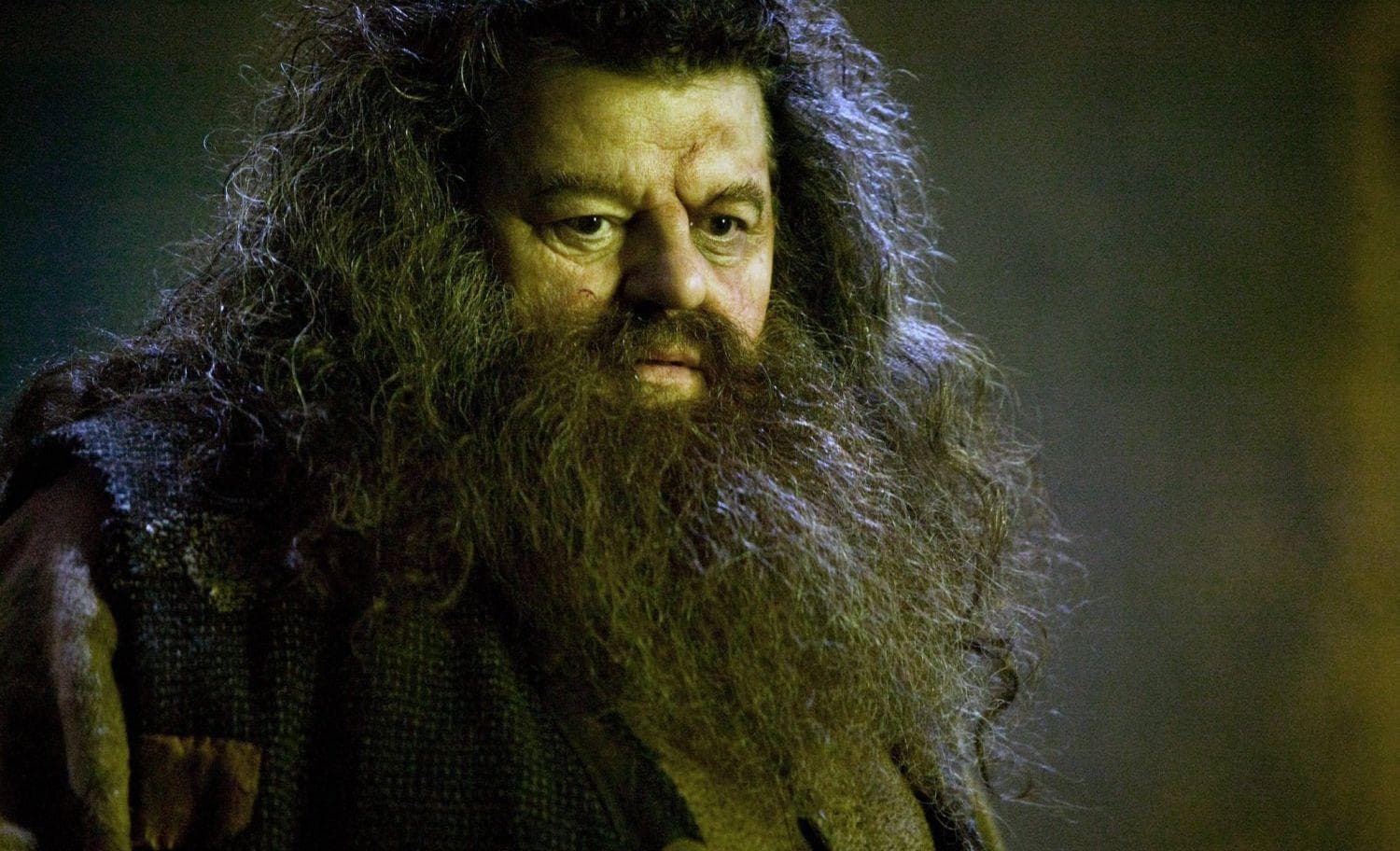 Rubeus Hagrid Is Framed By A Young Voldemort, Banned From Hogwarts As A Student, And Targeted By Rita Skeeter