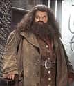 Rubeus Hagrid on Random Greatest Harry Potter Characters