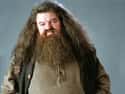 Rubeus Hagrid on Random Luckiest Characters In ‘Harry Potter’ Film Franchis