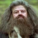 Rubeus Hagrid on Random Best Members of Gryffindo