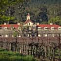Rubicon Estate Winery on Random Best Wineries in Napa Valley