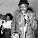 Rufus Thomas on Random Best Musical Artists From Mississippi