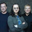 Rush on Random Best Dadrock Bands That Are Totally Worth Your Tim