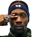 RZA as Bobby Digital in Stereo, Birth of a Prince, Digital Bullet   Robert Fitzgerald Diggs, better known by his stage name RZA, is an American Grammy-winning music producer, multi-instrumentalist, author, MC, and occasional actor, director, and screenwriter.