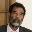 Saddam Hussein on Random Shocking Historical Cases of Incest