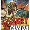 Humphrey Bogart, Lloyd Bridges, Peter Lawford   Sahara is a 1943 drama war film directed by Zoltán Korda. Humphrey Bogart stars as a U.S. tank commander in Libya during the Western Desert Campaign of World War II.