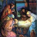 The Birth of Jesus on Random Best Bible Stories For Kids